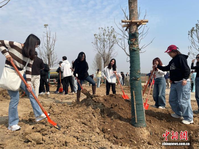 鄂台青年携手共建“同心林”，增进友谊促进团结协作。