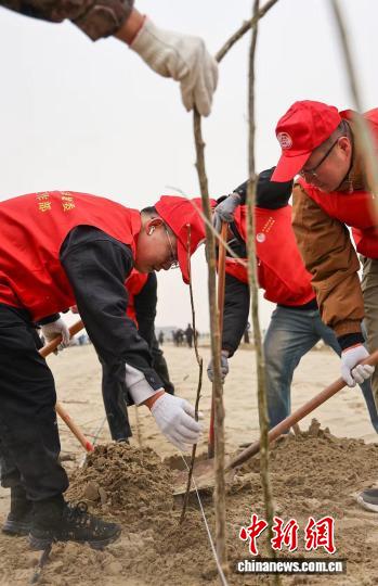 新疆沙漠边缘“铁牛”削丘平沙，植绿织密“绿围脖”，变荒沙为绿洲，守护生态文明。